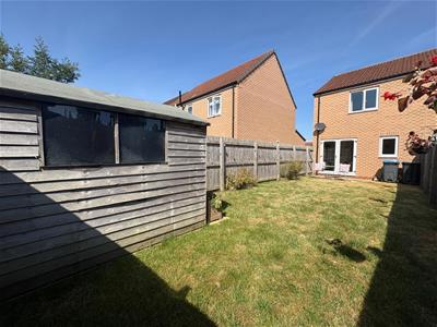 Picture 20